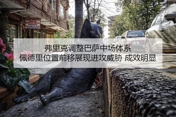fu-li-ke-tiao-zheng-ba-sa-zhong-chang-ti-xi-pei-de-li-wei-zhi-qian-yi-zhan-xian-jin-gong-wei-xie-cheng-xiao-ming-xian-2-410.jpg